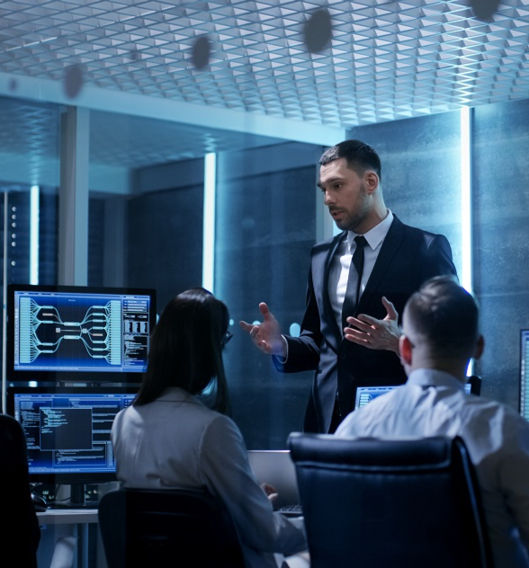 IT Project Management